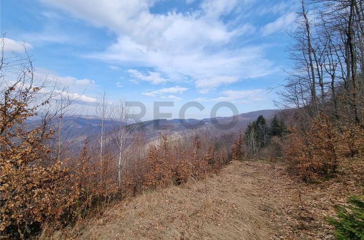 Teren Intravilan de vanzare BULZ  - Bihor anunturi imobiliare Bihor