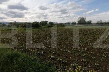 Teren de vanzare ALBA IULIA - Alba anunturi imobiliare Alba