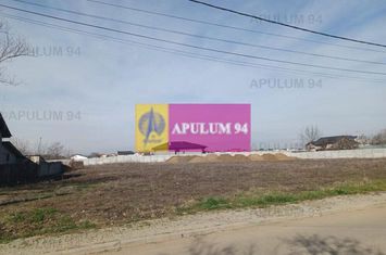 Teren intravilan cu utilităti Dragomiresti Vale anunturi imobiliare Bucuresti