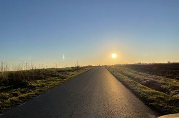Teren intravilan de vânzare – 8.000 mp, Ciolpani, lângă Pădurea Snagov anunturi imobiliare Bucuresti