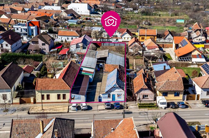 Casă + spațiu comercial + teren 1.358 mp | 2 fronturi stradale anunturi imobiliare Arad