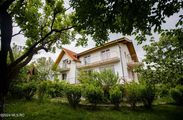 Un domeniu impresionant  de 6303 mp.POT 45% vizavi de resedinta patronului FCSB anunturi imobiliare Bucuresti