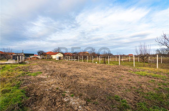 Teren Intravilan de vanzare BORS  - Bihor anunturi imobiliare Bihor