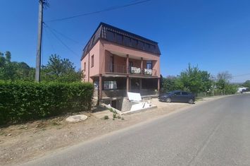 Vilă - 4 camere de vanzare IASI - Iasi anunturi imobiliare Iasi